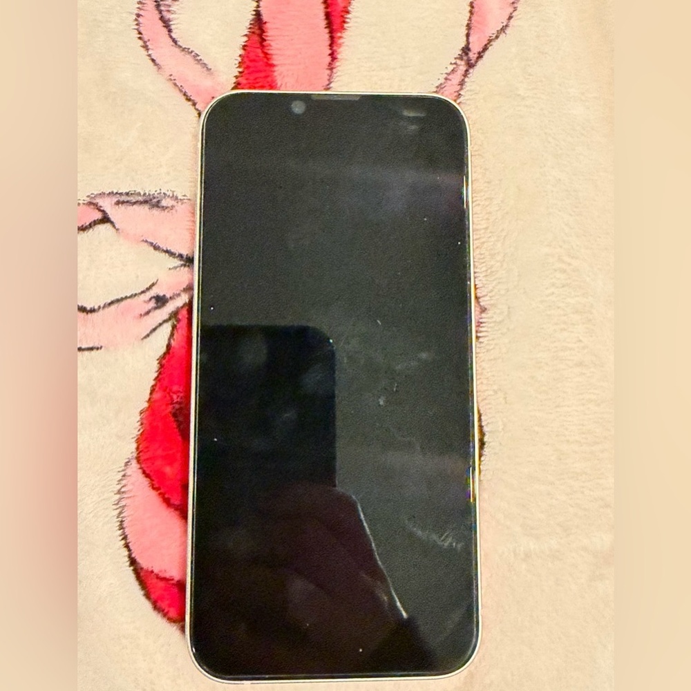 iPhone 13